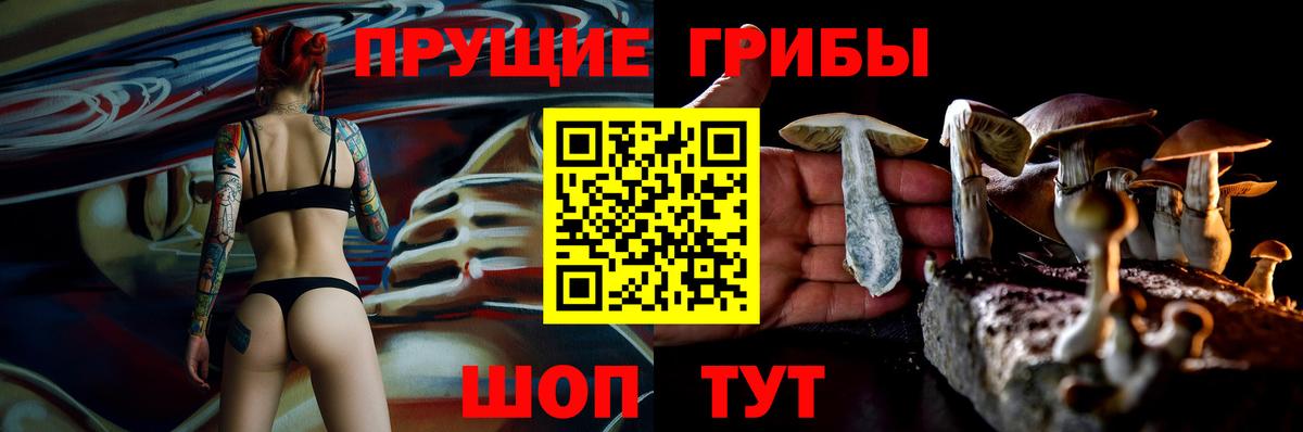 Галлюциногенные грибы Cubensis  Вход с VPN  Знаменск 
